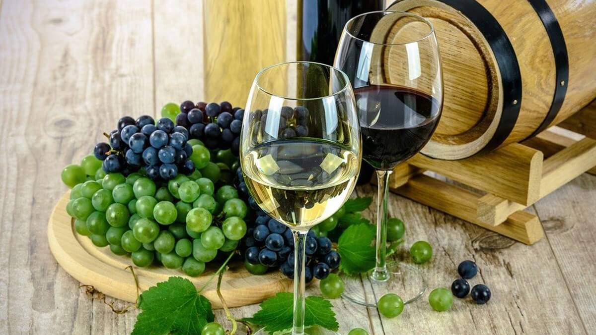 Rượu vang trắng Pháp - những điểm nhấn và ấn tượng khó phai