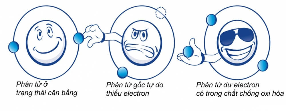 Chứa hoạt chất oxy hóa mạnh mẽ