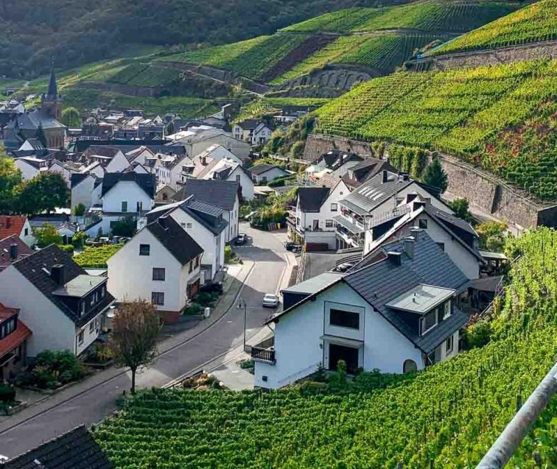 Các vùng trồng nho Pinot Noir nổi tiếng trên thế giới