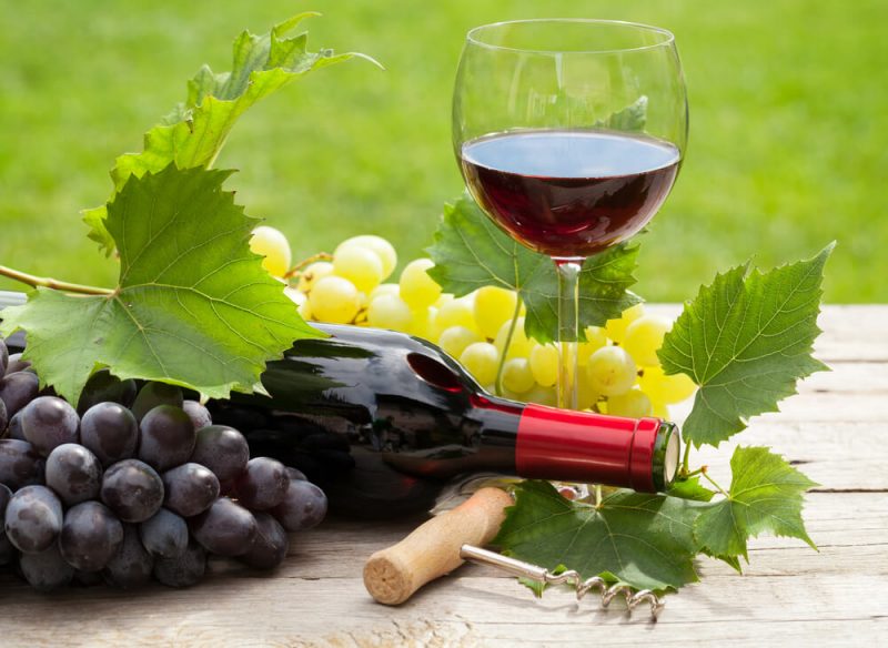 Hương vị của rượu vang được làm từ giống nho Pinot Noir