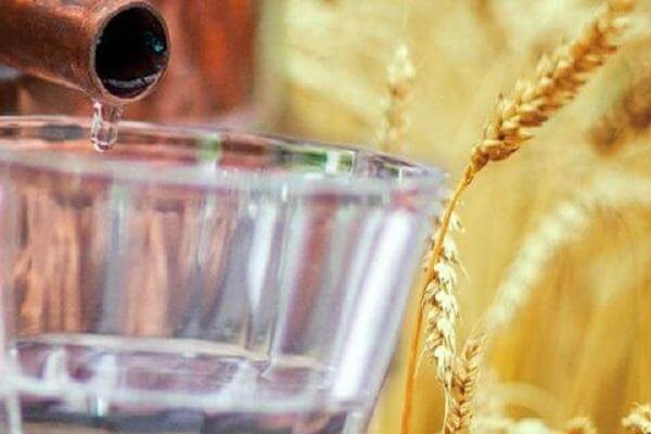 Quy trình sản xuất và những nguyên liệu tạo nên rượu vodka cá sấu