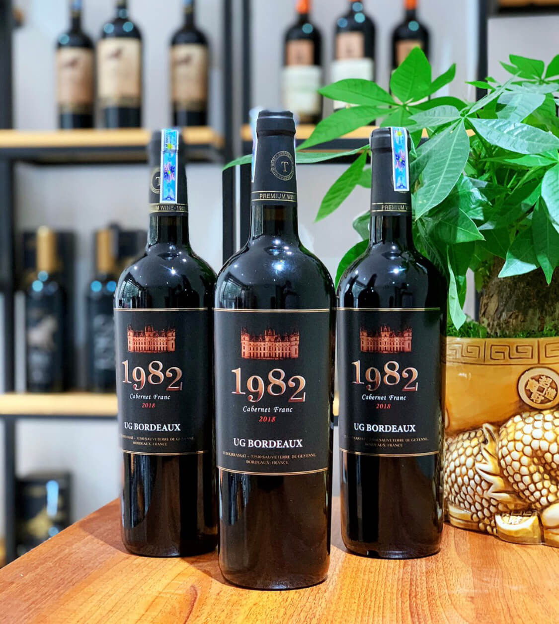 Vang 1982 Cabernet Franc 2018