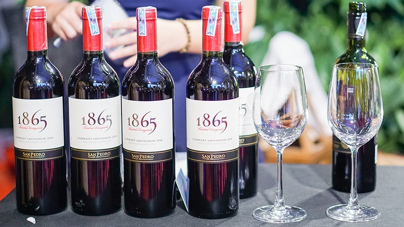 Đặc điểm chung của dòng rượu vang 1865 Chile