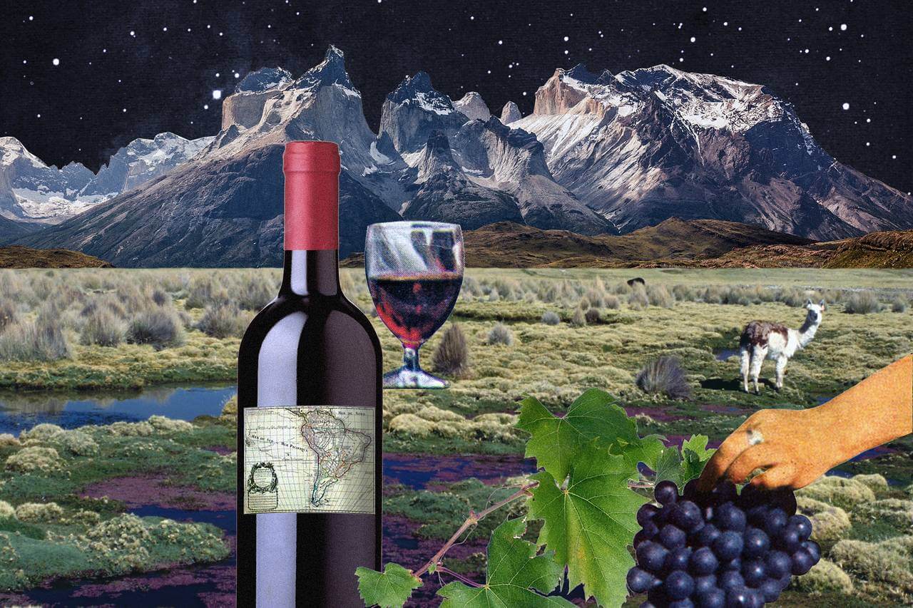 Những vùng sản xuất rượu vang Chile