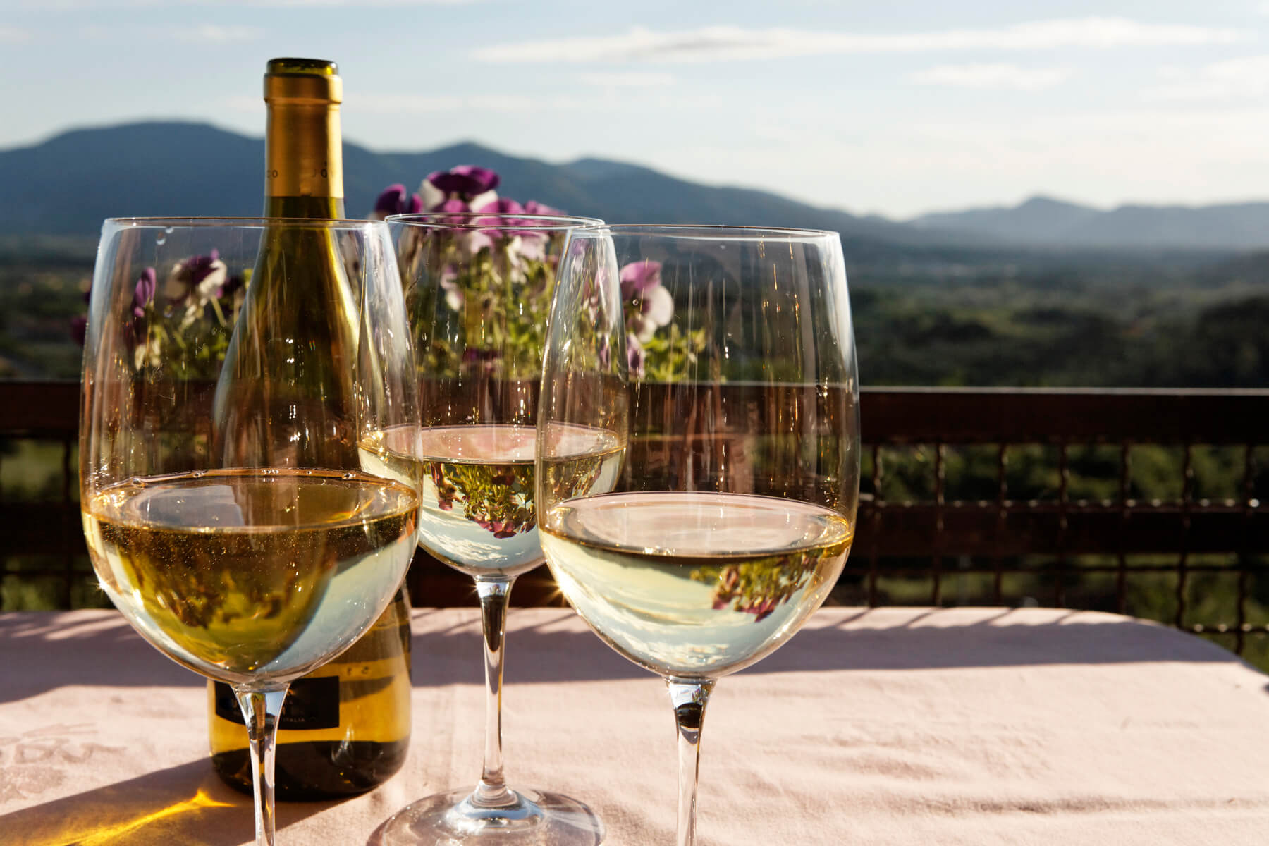 Rượu Chardonnay tự hào là dòng rượu vang có hương vị đa dạng nhất thế giới