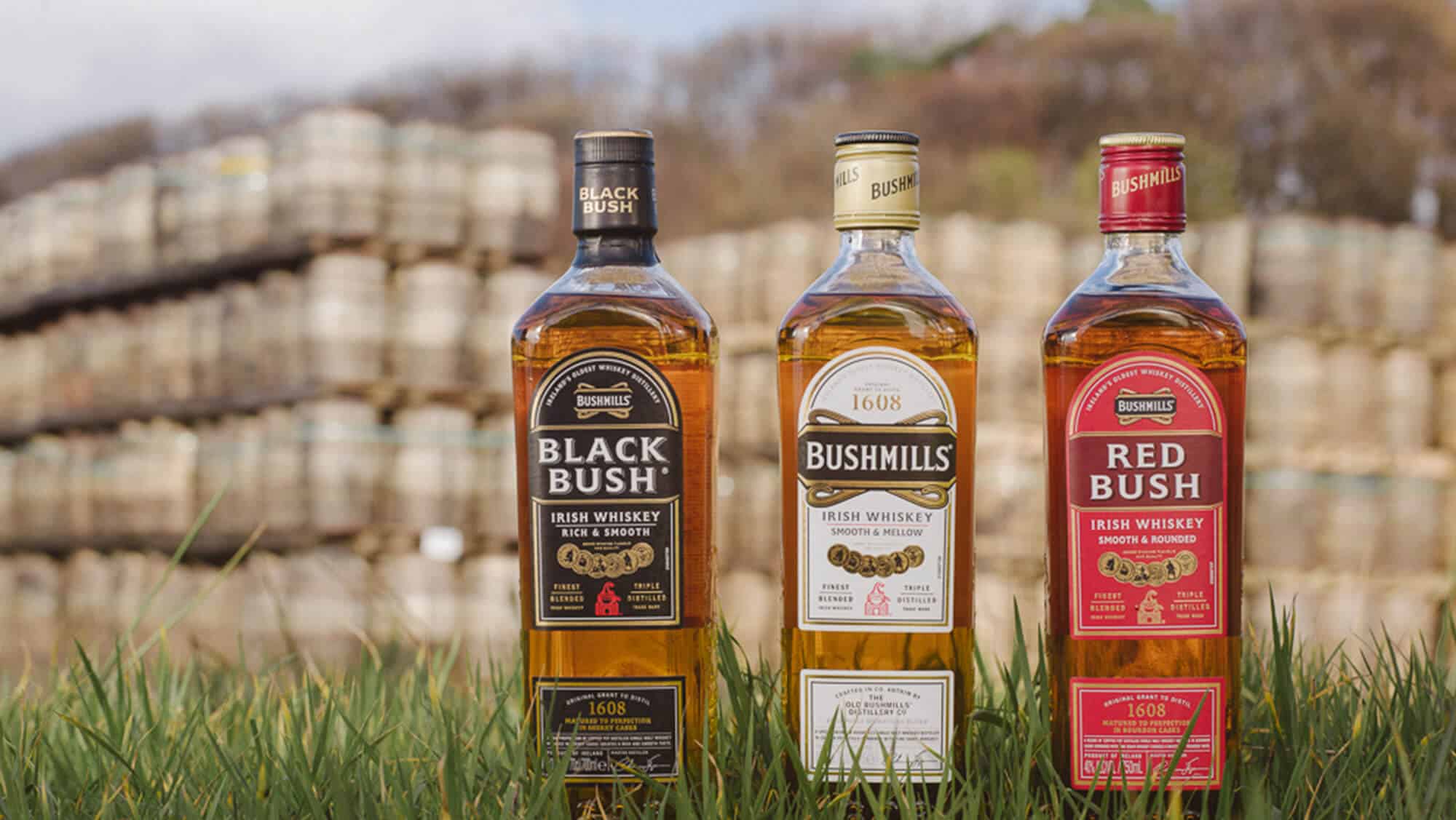 Đặc điểm nổi bật của Bushmills