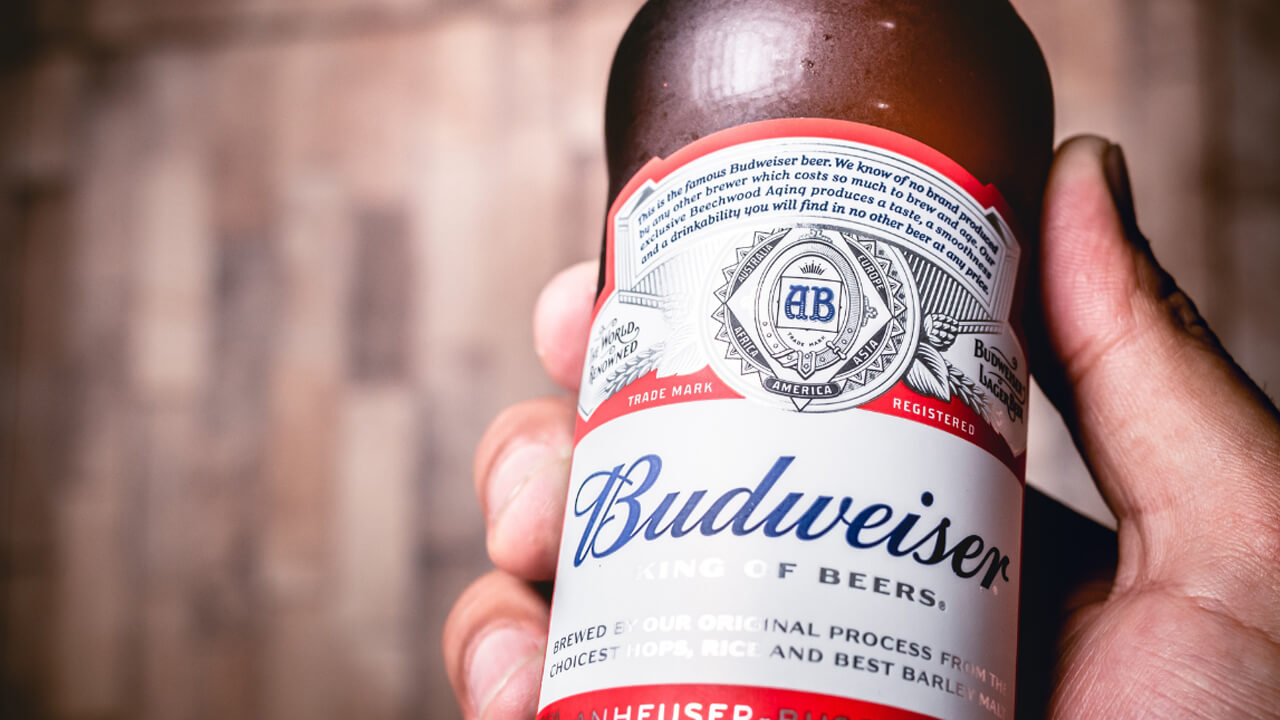 Bia Budweiser