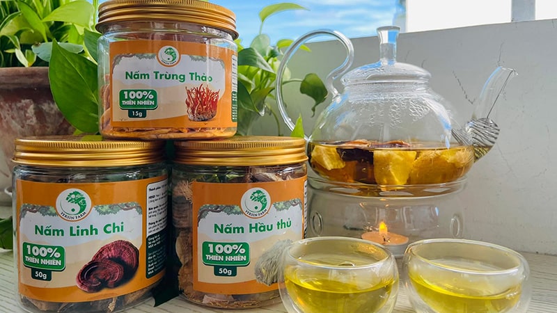 Hộp 3 nấm trùng thảo, linh chi, hầu thủ Yersin Farm.