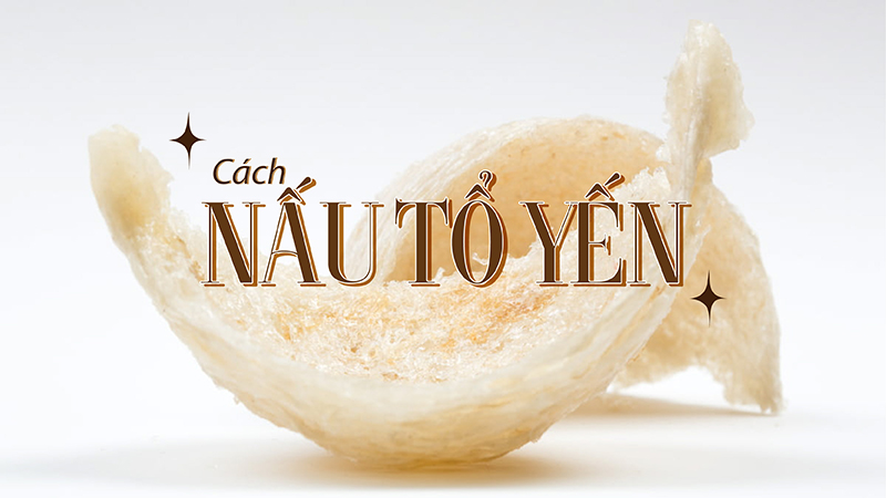 cách nấu tổ yến