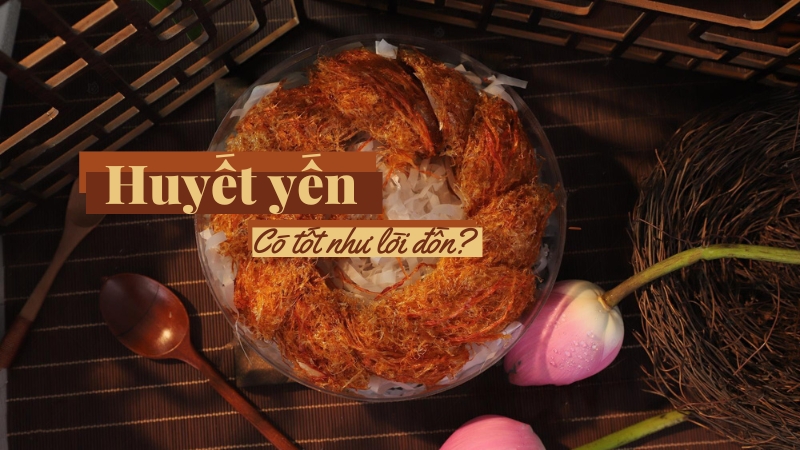 Huyết yến có thật sự tốt như lời đồn?