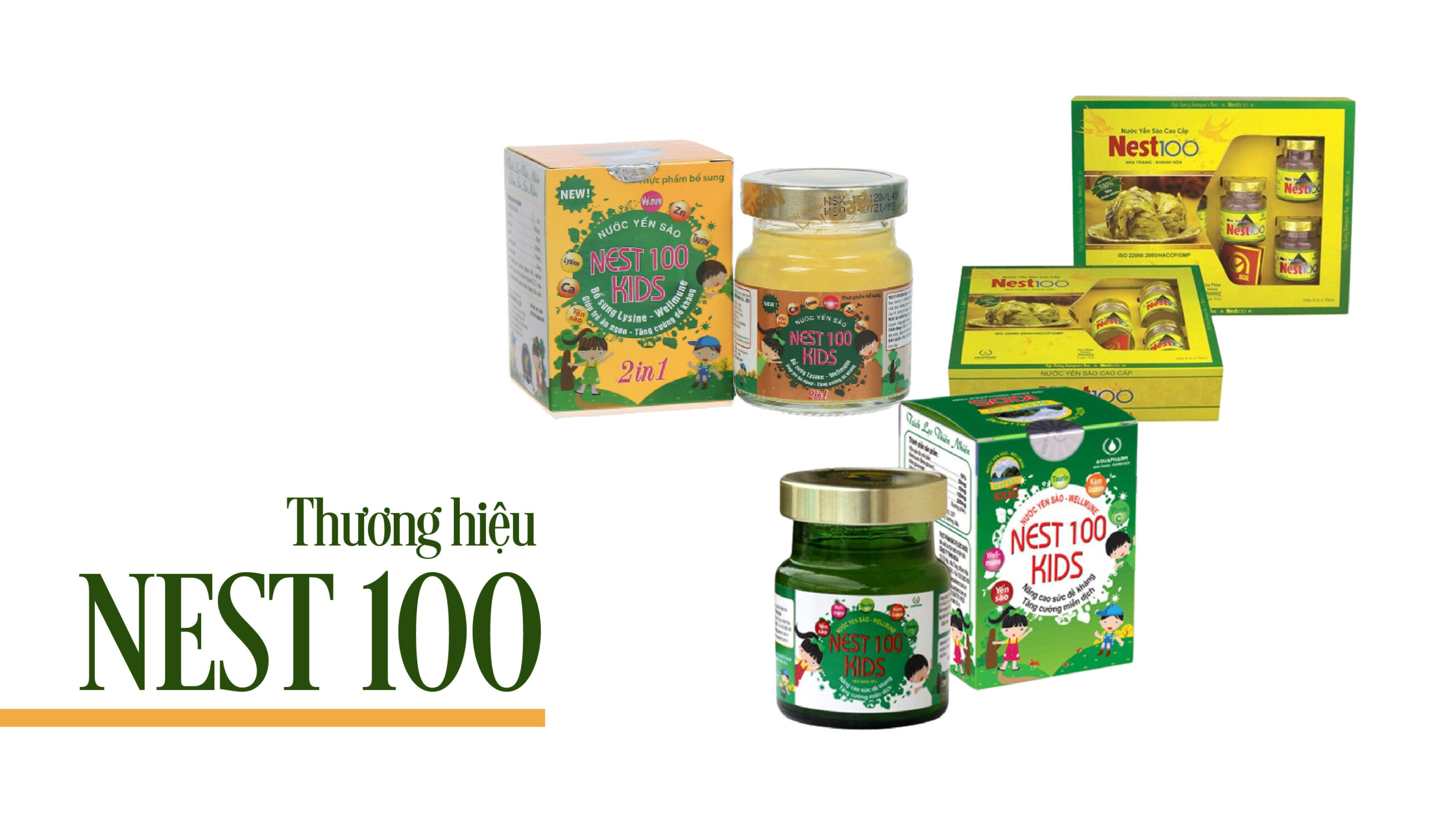 Yến Sào Nest 100 | Thương Hiệu Uy Tín Hàng Đầu