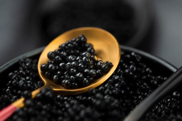 Rượu Champagne Dom tạo ra sự hài hòa giữa vị mặn của caviar và vị ngọt của rượu.