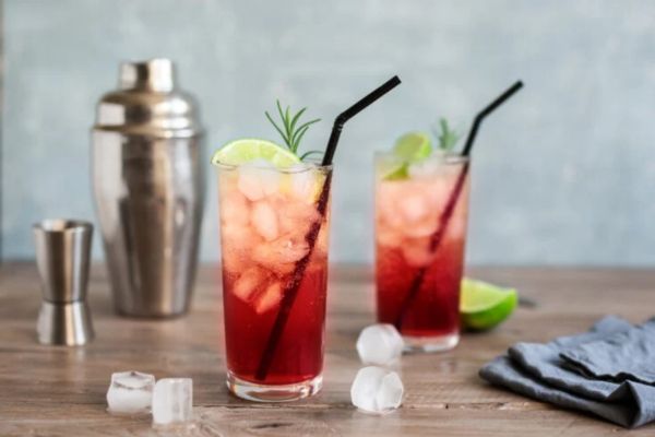 Công thức và nguyên liệu để có một ly Cocktail Sloe Gin Fizz